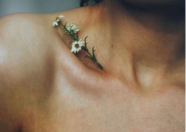 Body Confidence: How to Feel Stronger, Shapelier and Happier in your own Skin