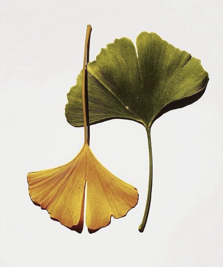 Seasonal Shifts: How to Recharge Skin, Body and Soul